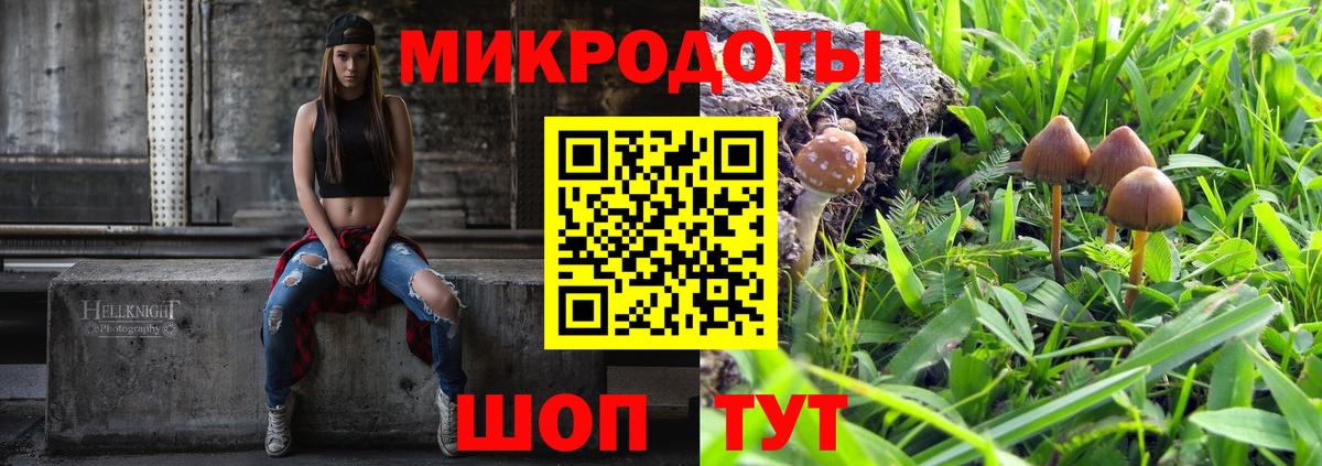 Псилоцибиновые грибы прущие грибы Ноябрьск