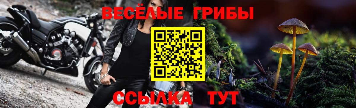 Ноябрьск  Псилоцибиновые грибы GOLDEN TEACHER  Вход с VPN  Галлюциногенные грибы мухоморы 